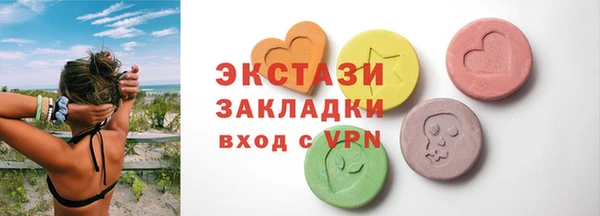 ECSTASY Богородицк