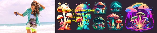 ECSTASY Богородицк