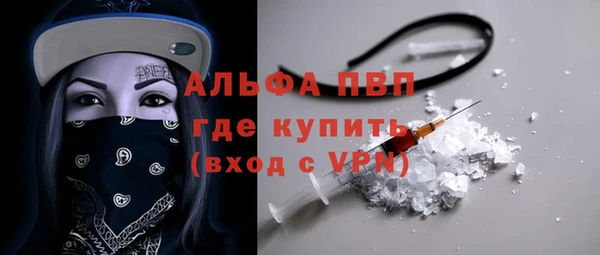 ECSTASY Богородицк