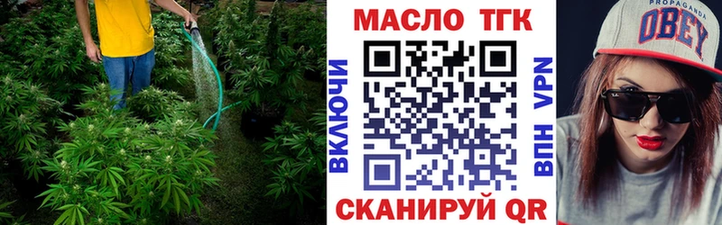 Купить  Артёмовский  Дистиллят ТГК Wax 